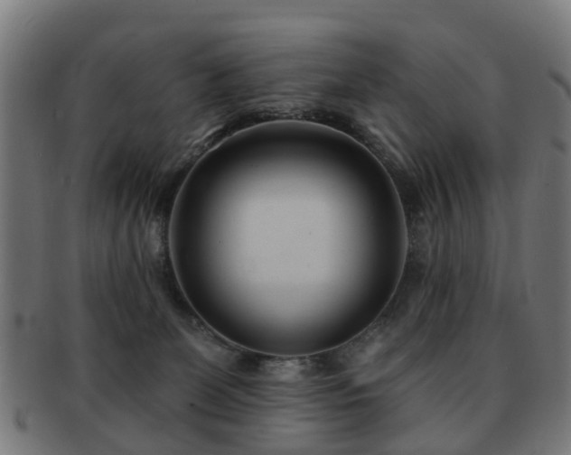 X0000091890131200709051351