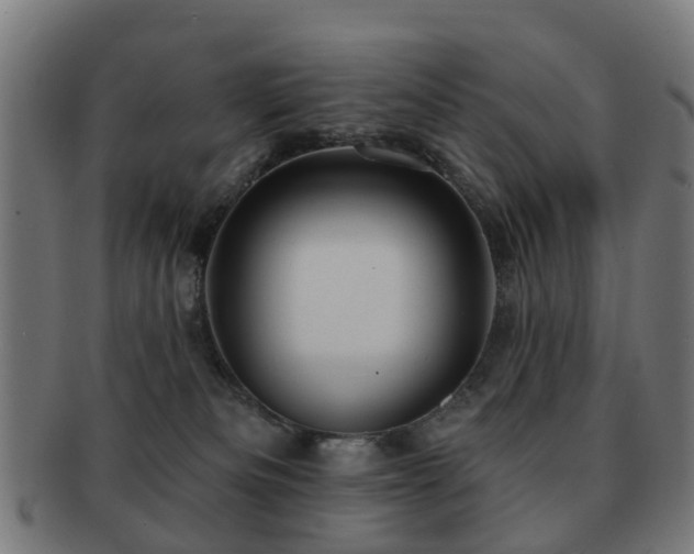 X0000091890133200709051351