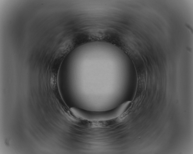 X0000091890134200709051351