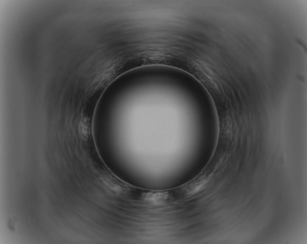 X0000091890135200709051351