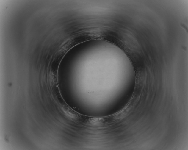 X0000091890136200709051351