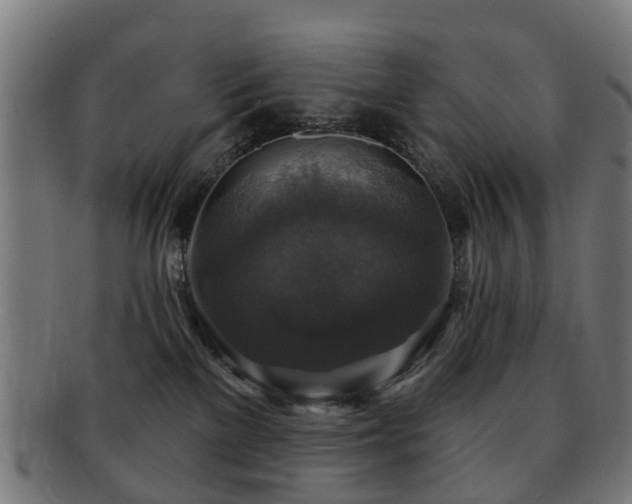 X0000091890137200709051351