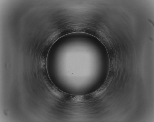 X0000091890138200709051351