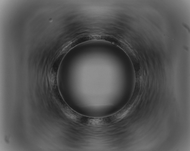 X0000091890139200709051351