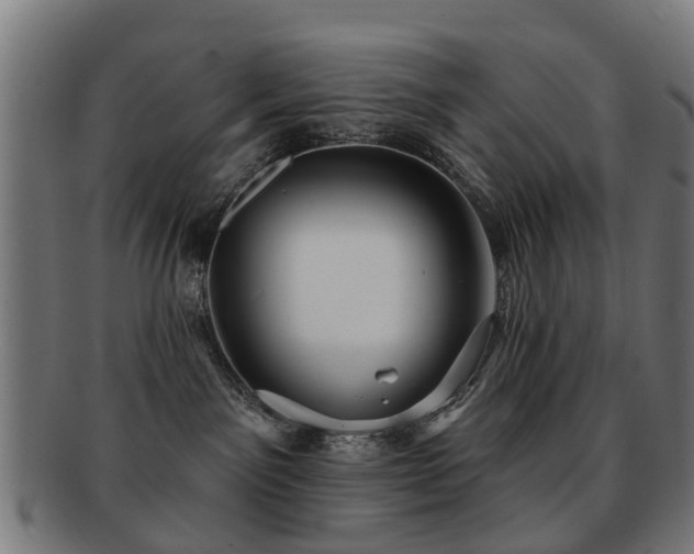 X0000091890141200709051350