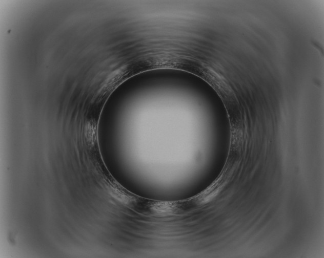 X0000091890142200709051350