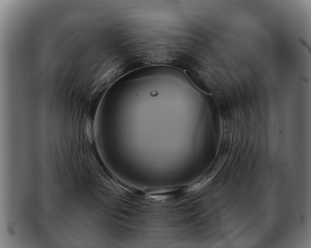 X0000091890143200709051350