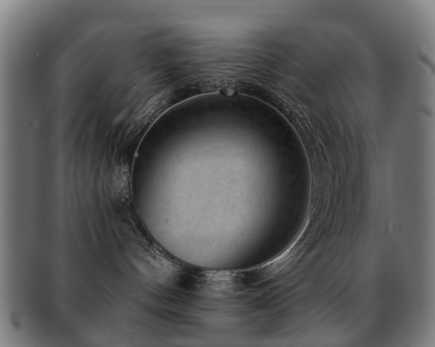 X0000091890144200709051350