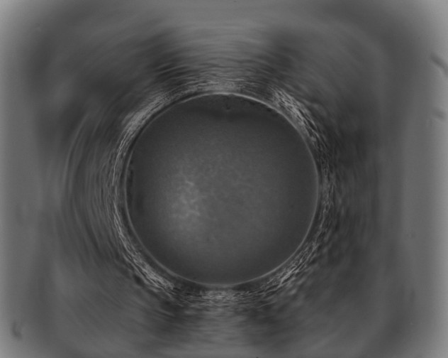 X0000091890145200709051350