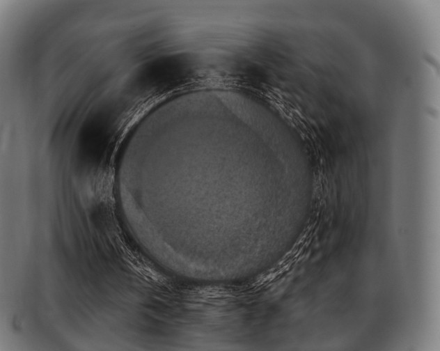 X0000091890146200709051350