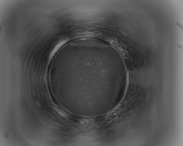 X0000091890147200709051350
