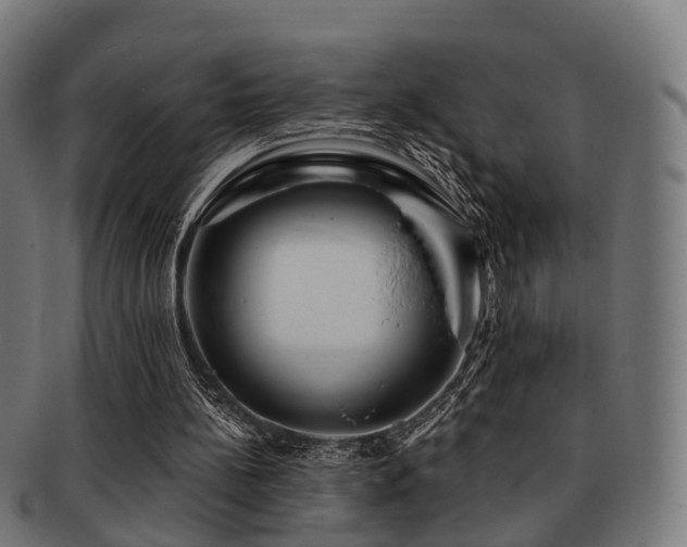X0000091890148200709051350