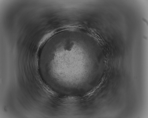 X0000091890149200709051350