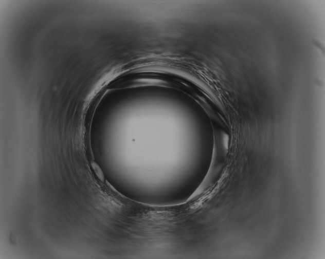 X0000091890150200709051350