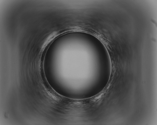 X0000091890151200709051350