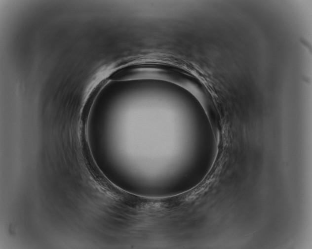 X0000091890152200709051350