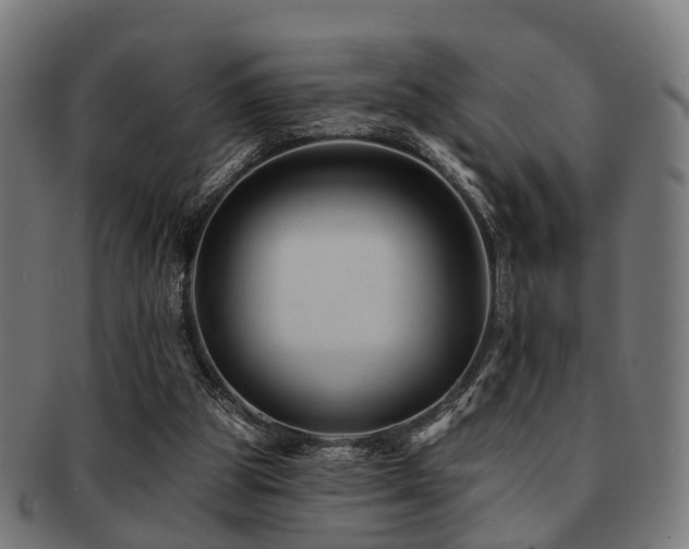X0000091890153200709051350