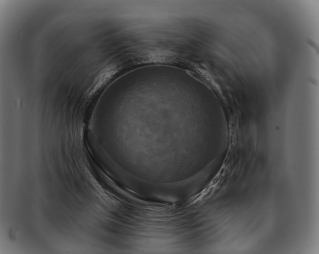 X0000091890154200709051350