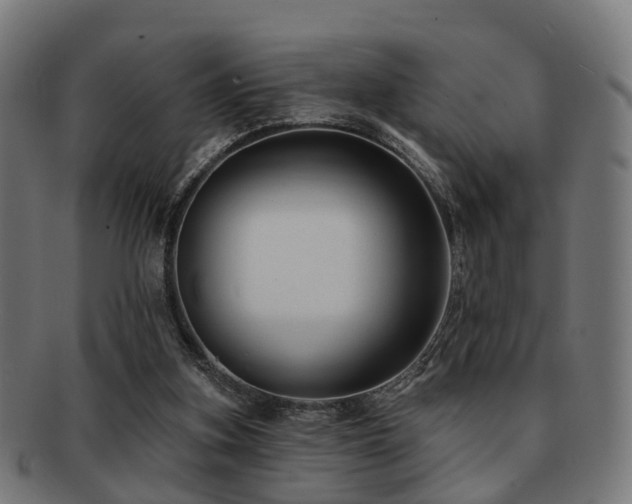 X0000091890155200709051350