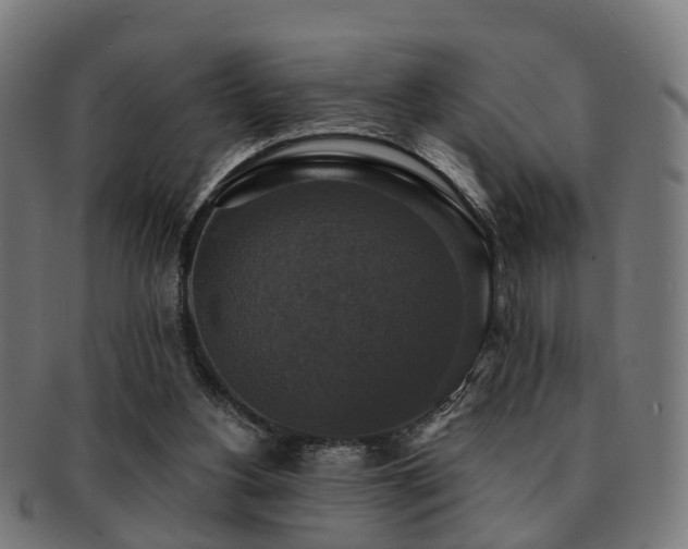 X0000091890156200709051350