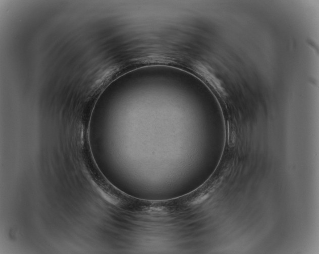 X0000091890157200709051350
