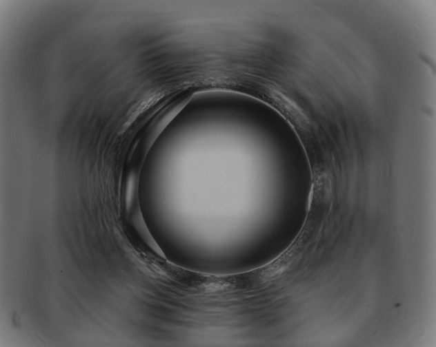 X0000091890158200709051350