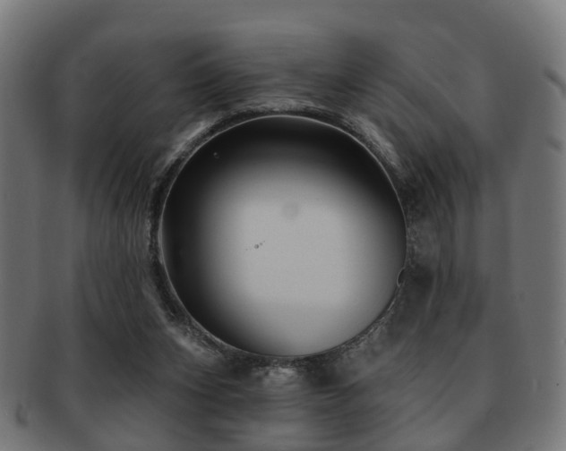 X0000091890159200709051350
