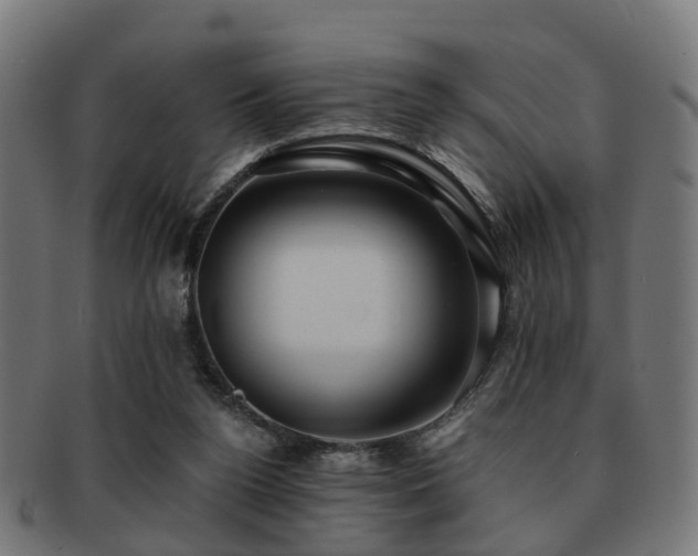 X0000091890160200709051350