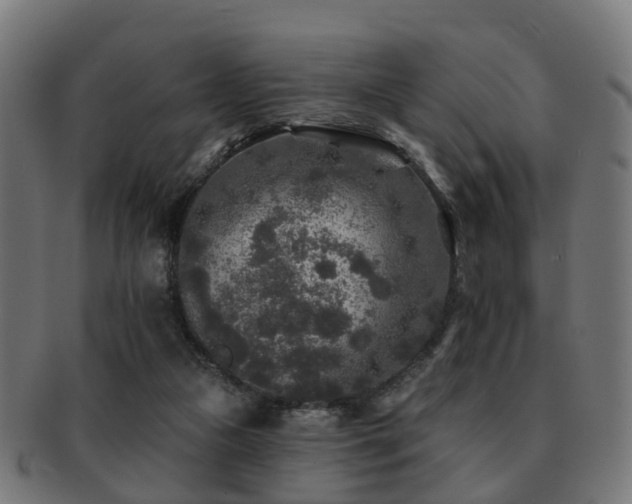 X0000091890161200709051350