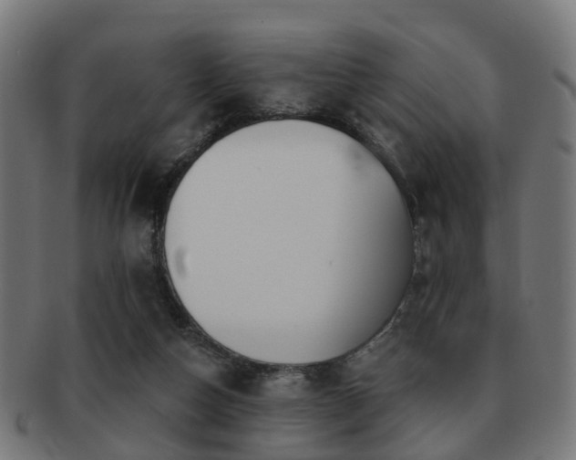 X0000091890162200709051350