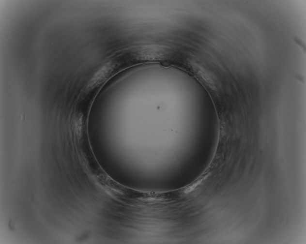 X0000091890163200709051350