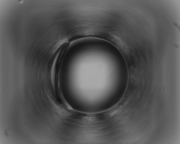X0000091890164200709051350