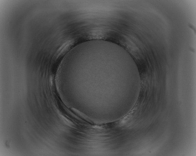 X0000091890166200709051350