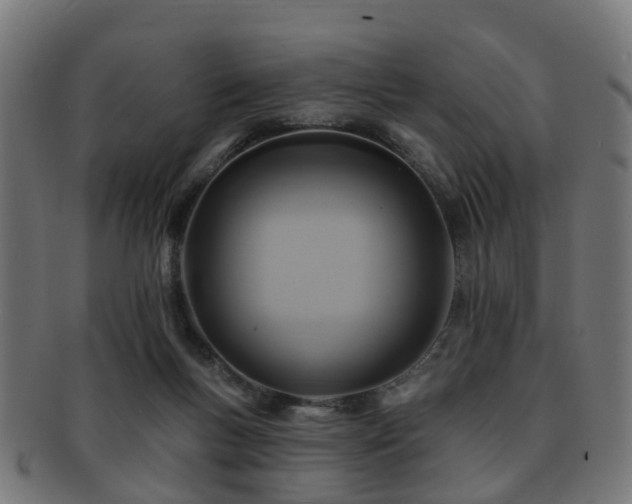 X0000091890167200709051350