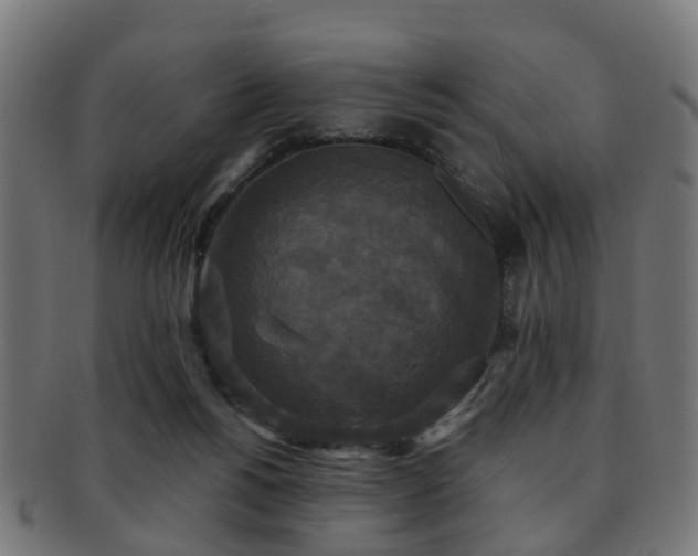 X0000091890168200709051350