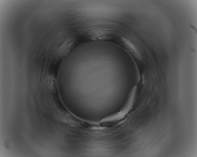 X0000091890169200709051350