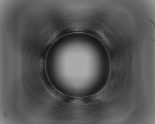 X0000091890171200709051350