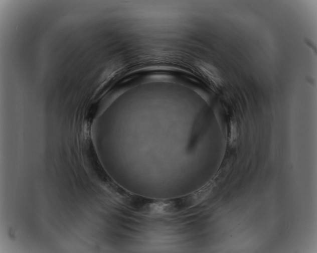 X0000091890172200709051350