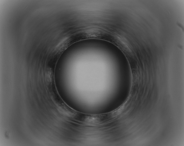X0000091890174200709051350