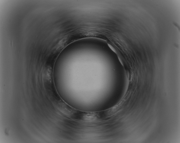 X0000091890175200709051350