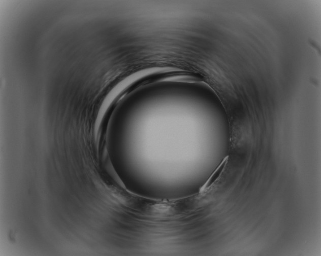 X0000091890176200709051350