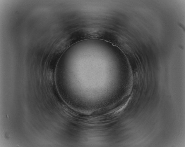 X0000091890178200709051350