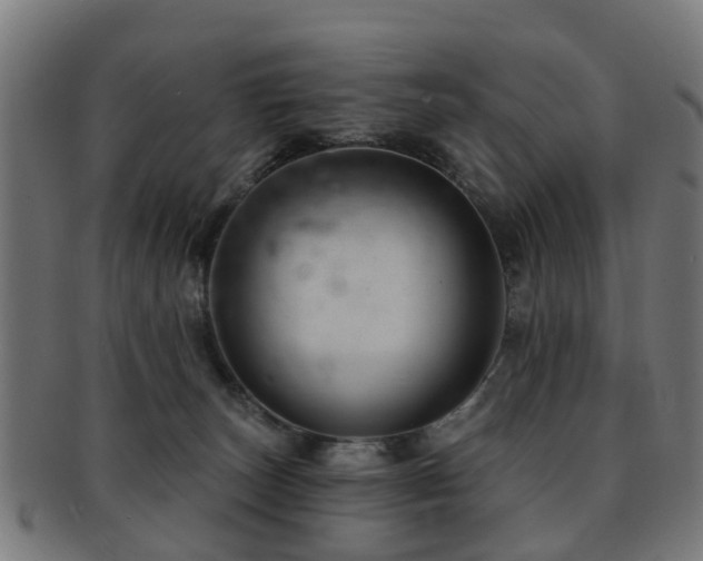 X0000091890179200709051350