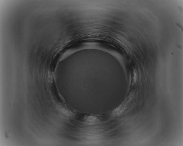X0000091890180200709051350