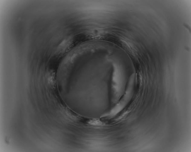 X0000091890181200709051350