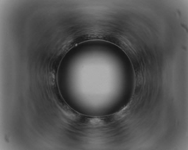 X0000091890183200709051350