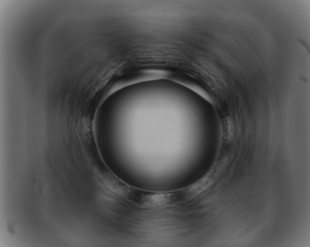 X0000091890184200709051350