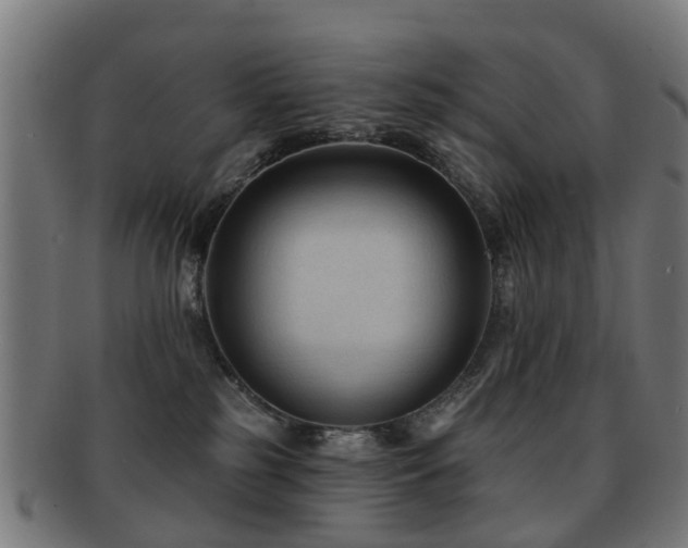 X0000091890185200709051350
