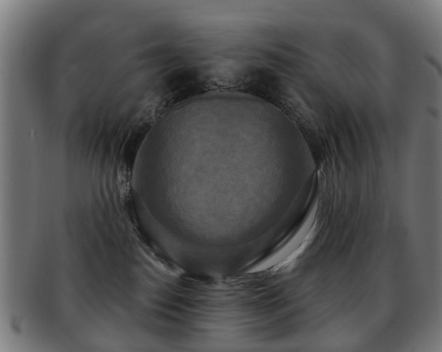X0000091890186200709051350