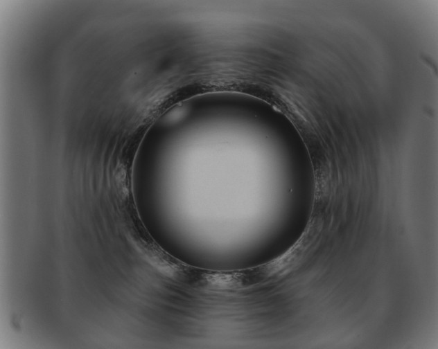 X0000091890187200709051350